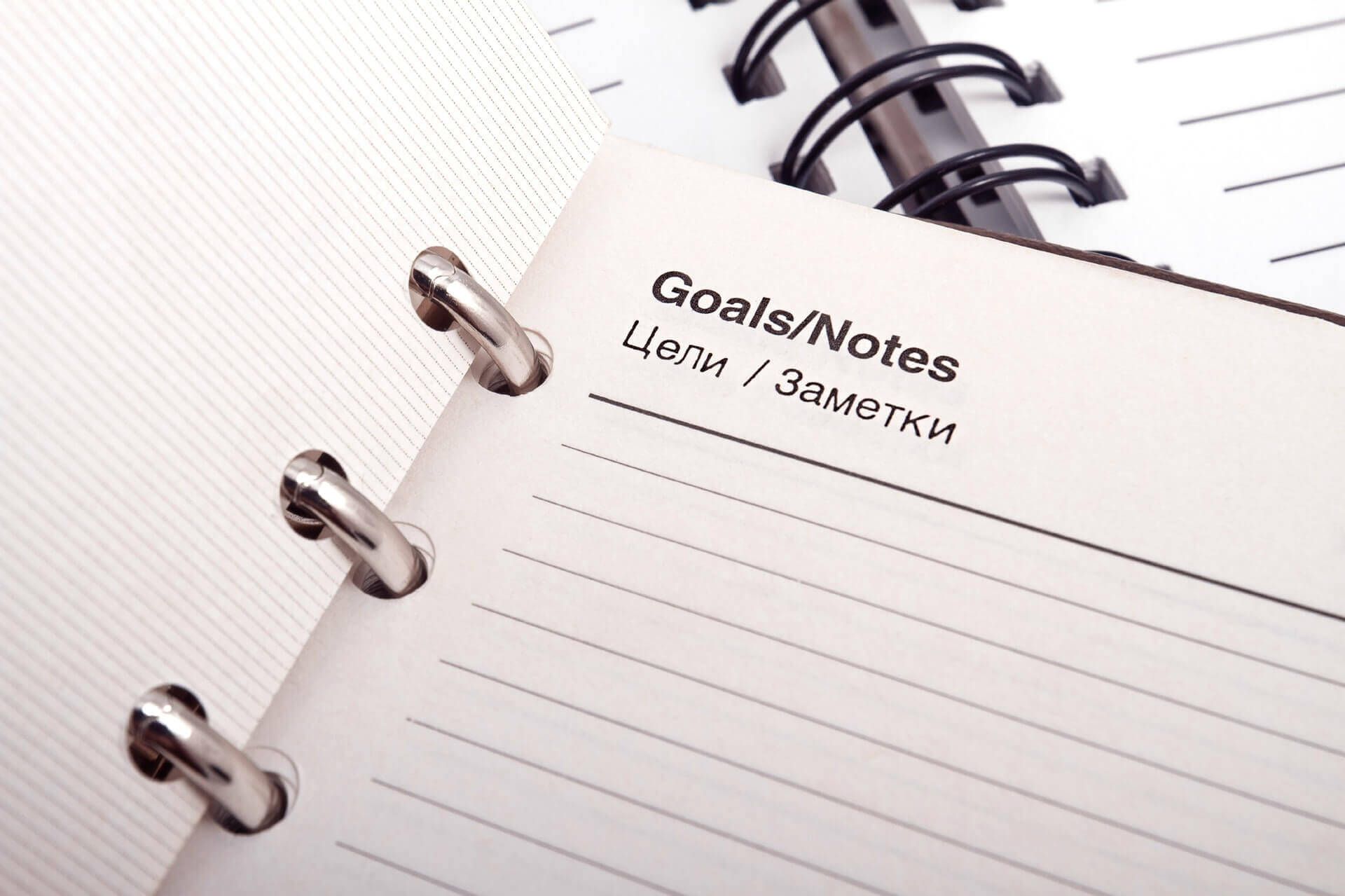 Winstar Brush Goal